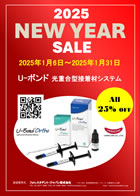 2025 NEW YEAR SALE