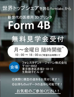 Form 4B wt